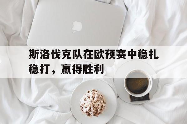 斯洛伐克队在欧预赛中稳扎稳打，赢得胜利的简单介绍